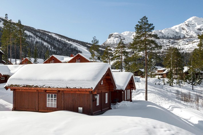 Storstugor Hemsedal skicenter